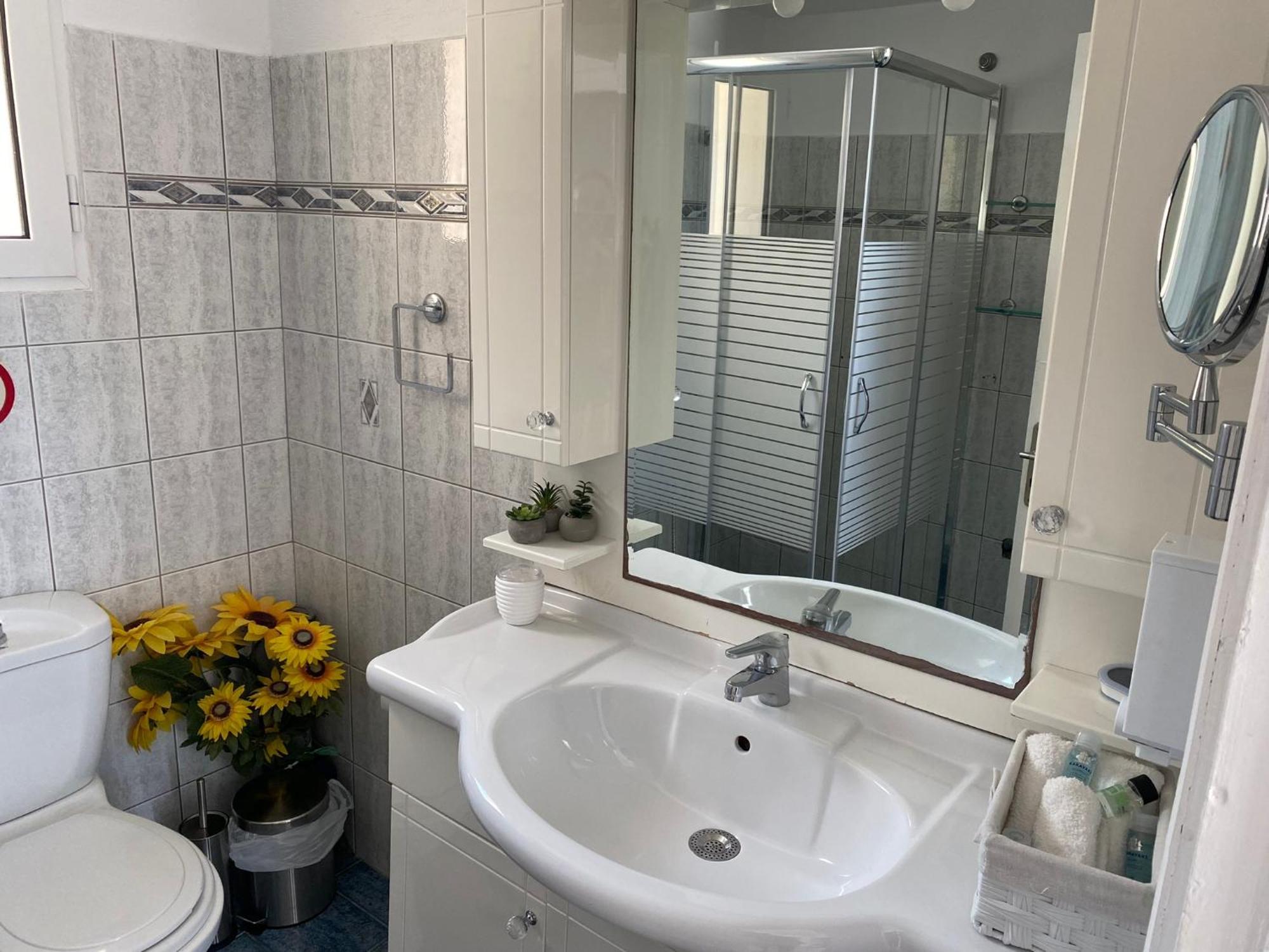 Villa Jenny Stylianou Spetses Town Extérieur photo
