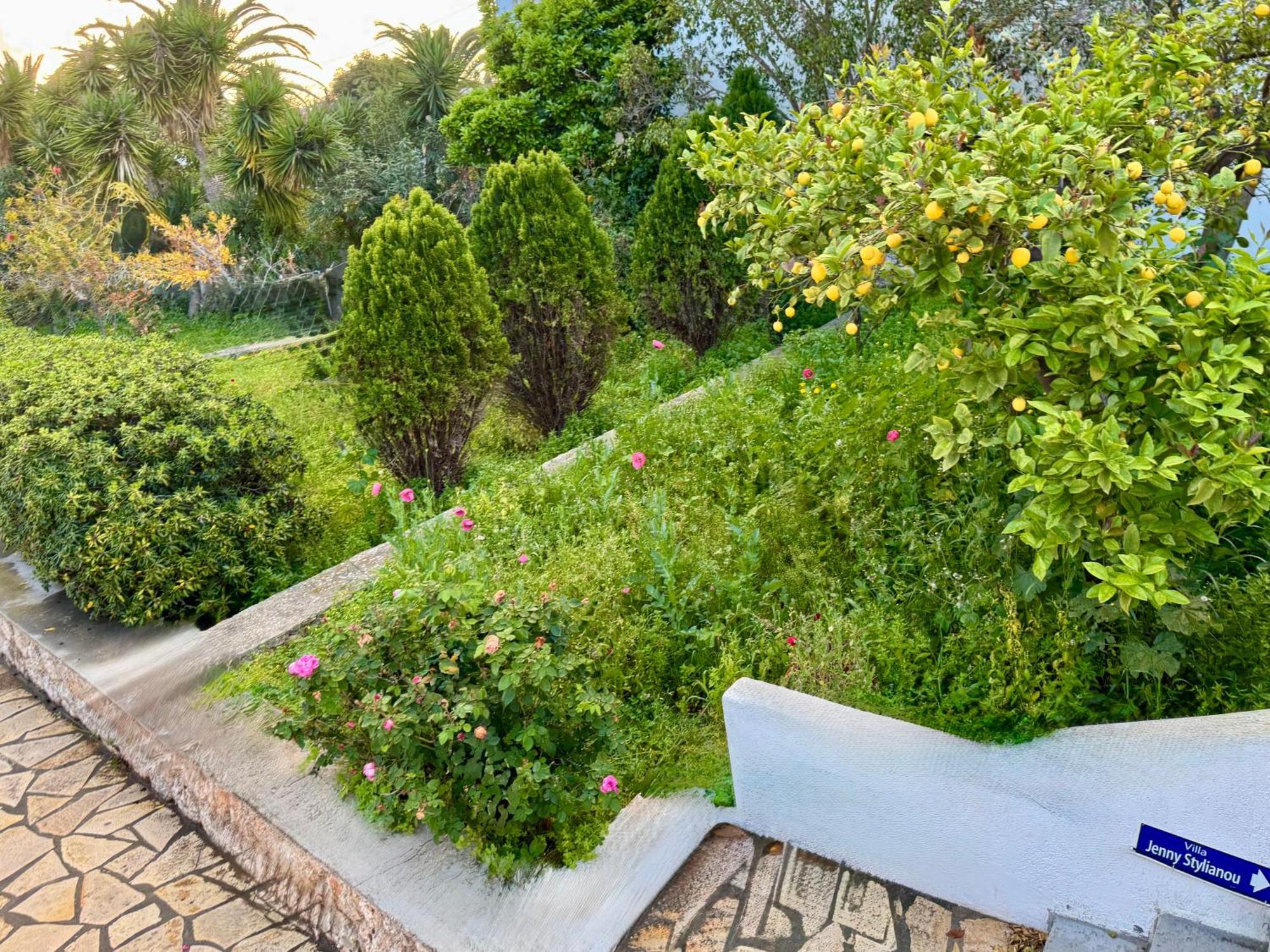 Villa Jenny Stylianou Spetses Town Extérieur photo